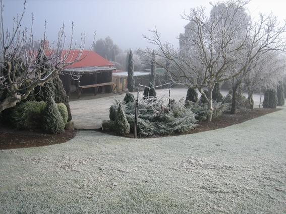 Vineyard Cottage Bnb Gumeracha 외부 사진