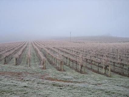 Vineyard Cottage Bnb Gumeracha 외부 사진