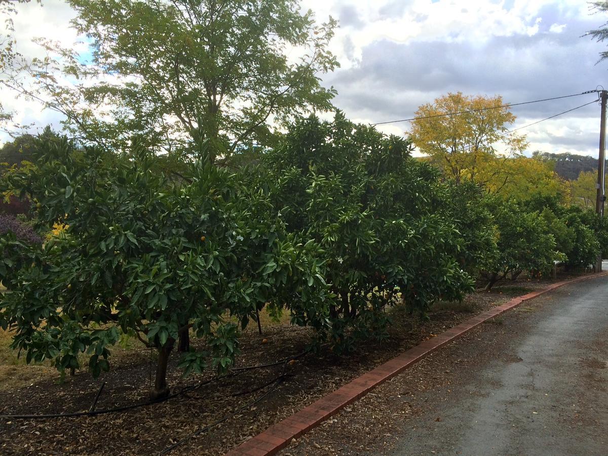 Vineyard Cottage Bnb Gumeracha 외부 사진